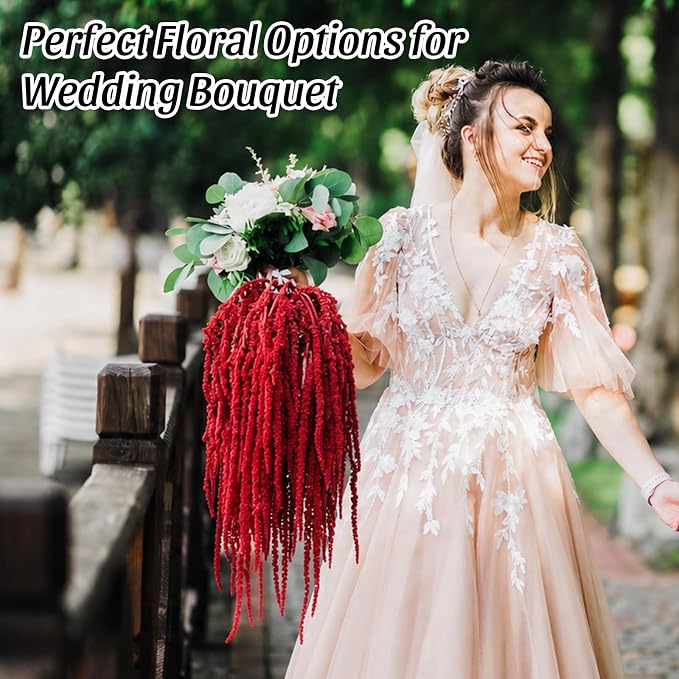 Suncalla Bright Red Spring Natural Dried Amaranthus Hanging Flowers Amaranthus Artificial Flowers for Wedding Arch Bouquet Floral Garland Wall Home Decoration (23 Inch,12 Pcs)