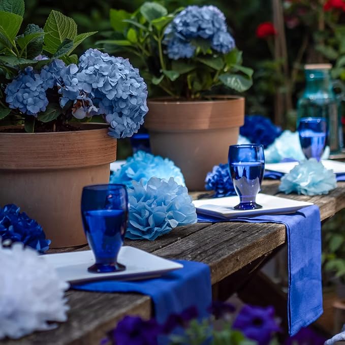 Tissue Paper Pom Poms - Blue Party Decorations for Birthdays, Weddings, Baby Showers and Special Occasions (20pcs, Blue Navy Assortment, Assorted Sizes)