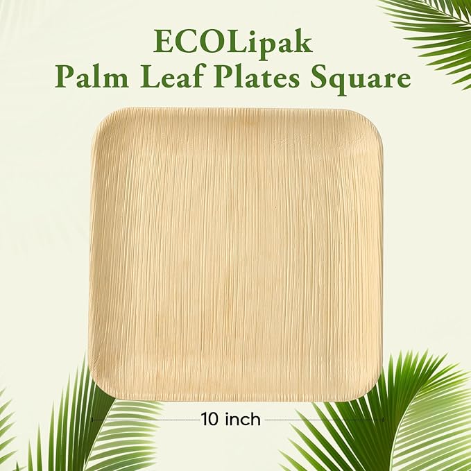 ECOLipak 10 Inch Compostable Palm Leaf Plate Like Bamboo Plate and 300 Count Disposable Wooden Knives