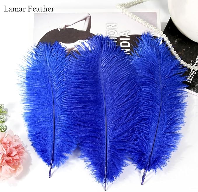 Lamar 20Pcs 14-16'' Blue Ostrich Feathersfor Wedding Centerpieces, DIY Crafts, Dream Catchers, Party Decor, Floral Arrangement, Bohemian Home Decor (Royal Blue)