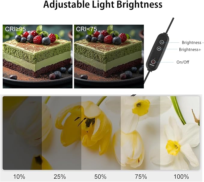 Photo Box, PULUZ 24"x24" Photo Studio Light Box for Photography Portable Large Lightbox Photo Booth Kit with 6 Colors Photo Backdrops-Dimmable 120pcs LED Beads, 5500K Lighting, US Plug