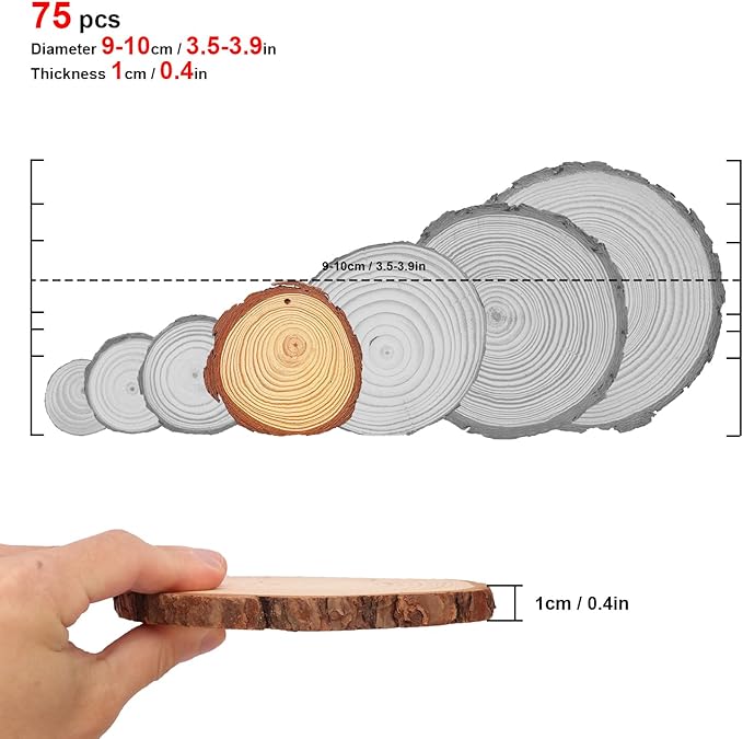 76 PCS Small Wood Slices with Hole for Crafts, 3.5 Inch - 4 Inch Mini Wood Slices for Christmas Ornaments Rustic Wedding Decoration DIY Crafts, and More(Include 2 Rope)