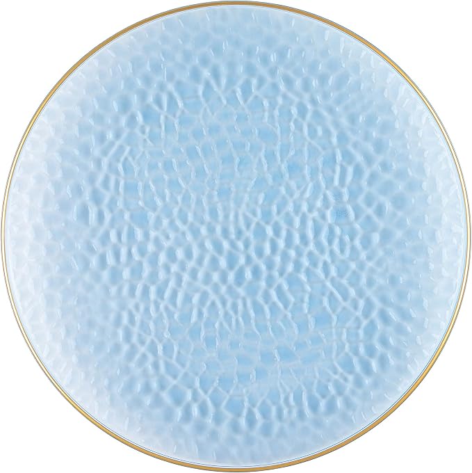 PLASTICPRO 30 Pack Hammered Plastic Plates Heavyweight Disposable Plastic Plates Elegant Clear Hammered Rim Platsic Party Dishes (Blue With Gold Rim, 9'' INCH PLATES)