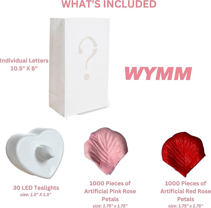 WYMM Feliz Cumpleaños Happy Birthday Light Up Letters in Spanish - Luminary Bags Happy Birthday Decorations with Tea Lights Candles and Rose Petals - Feliz Cumpleaños Banner For Your Loved One