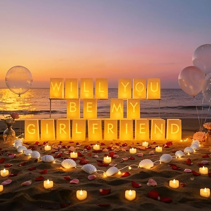 Will You Be My Girlfriend Light Up Letters Luminary Bags, Banner, Romantic Decoration Kit with 30PC Bright LED Candles and 2000PC Fake Rose Petals