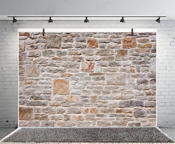 AOFOTO 12x8ft Stone Wall Backdrop Vintage Rock Stone Textured Photography Background Medieval Vineyard Old Castle Cobblestone Brick Wall Birthday Party Scene Setters Decoration Photo Booth Props
