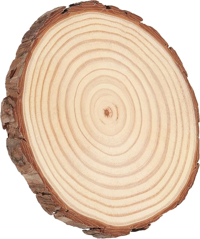 HAKZEON 14 PCS 6-7 Inches Natural Wood Slices, 3/5 Inches Thick Wood Rounds with Bark, Unfinished Wooden Discs for Crafts Rustic Wedding Ornaments, DIY Arts Christmas Home Decor