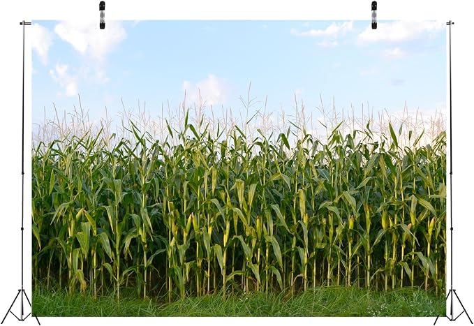 BELECO 12x10ft Fabric Cornfield Maze Backdrop Green Corn Stalks Field Countryside Farm Harvest Background Themed Party Decorations Adults Kids Portrait Photoshoot Studio Props