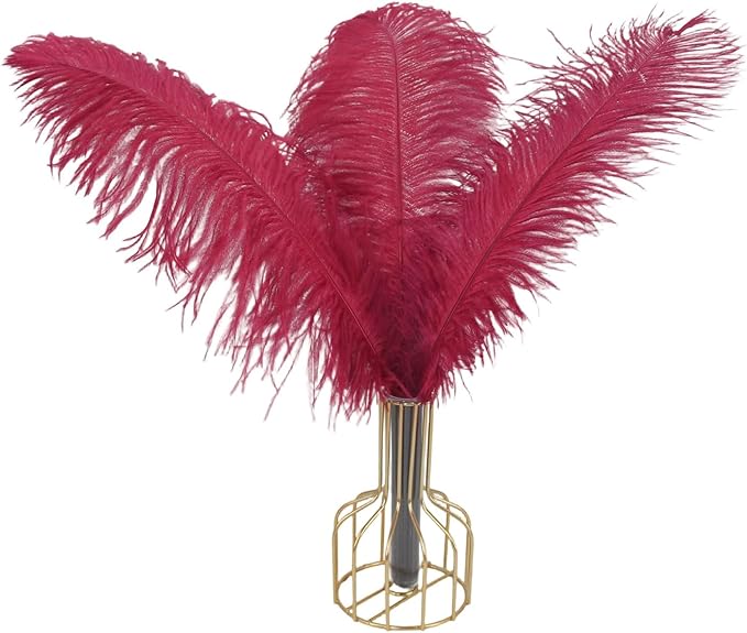 10pcs Natural Ostrich Feather Craft 16-18inch(40-45cm) Plume for Wedding Centerpieces Home Decoration DIY（WineRed, 10Pcs 16-18inch)