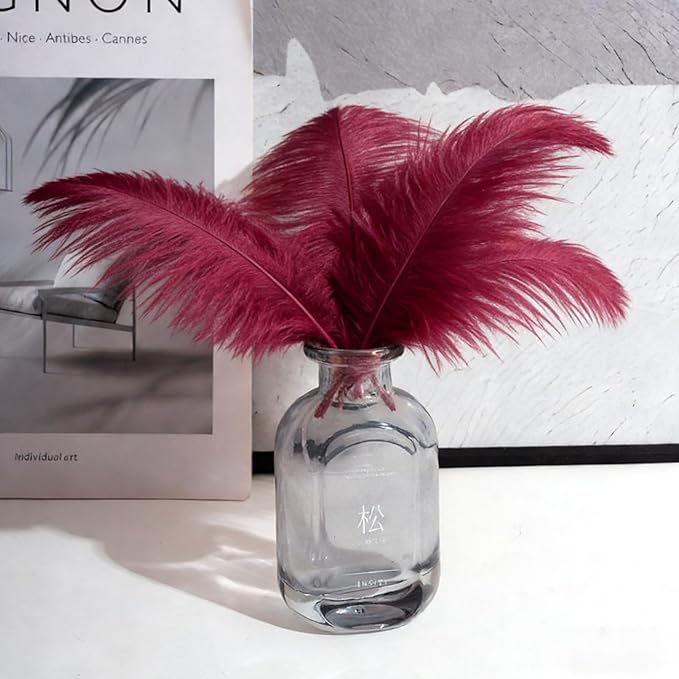 10pcs Natural Ostrich Feather Craft 16-18inch(40-45cm) Plume for Wedding Centerpieces Home Decoration DIY（WineRed, 10Pcs 16-18inch)