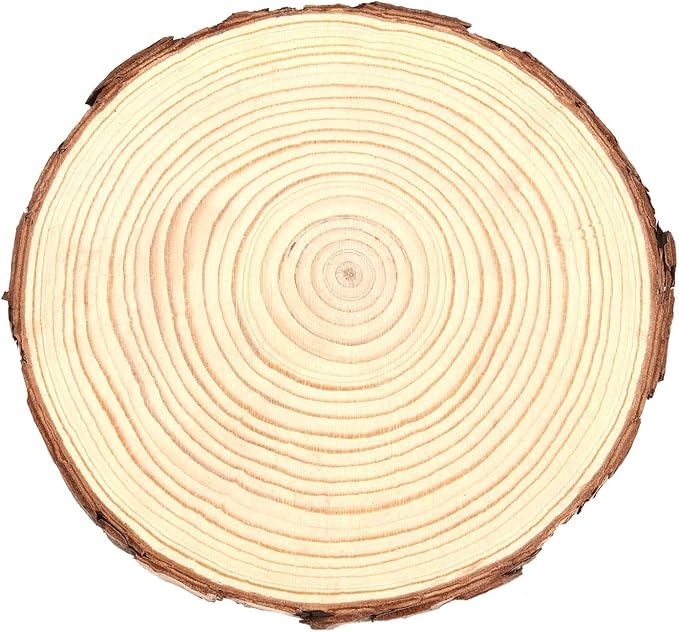 15 Pack 6-7 Inch Natural Wood Slices for Crafts, Unfinished Wood Slices with Bark 0.6 Inch Thick Wood Rounds Wooden Coasters for Crafts, Ornaments, Decorations