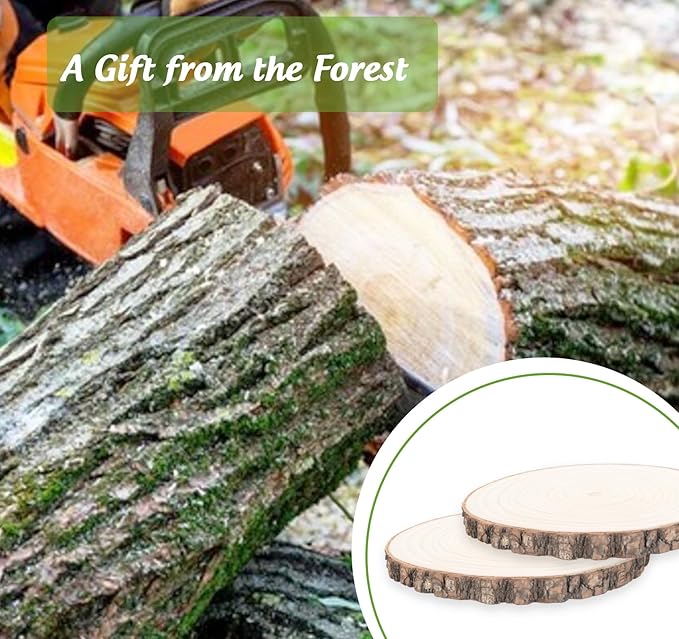 Paulownia Wood Slices 7-8inch, 2 Pack Large Natural Wood Rounds with Bark, Pre-Sanded Unfinished Wood Circles for Crafts, Wedding Centerpieces, Table Decor, DIY Coasters, Pyrography, Holiday Ornaments