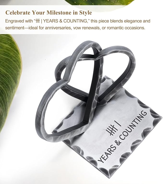 Vastsea 6 Year Anniversary Iron Gifts for Him Her - 6th Anniversary Wedding Handcrafted Hearts Sculpture for Couple Wife Husband, with Card & Gift Box