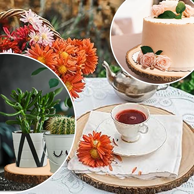 Wood Slices for Centerpieces,Large Wood Slices 10 Pcs 8-9 Inches Natural Paulownia Wood Rounds Natural Wood Slices,Wood Slabs for Weddings Centerpieces Decor and DIY Painting Crafts (8-9 inch 10 Pcs)