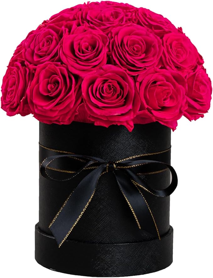 27 Preserved Flowers for Delivery Prime, Roses Dome Forever Flower Decor for Party Home Table Bedroom, Anniversary, Birthday, Wedding Gifts for Women Her (Hot Pink)