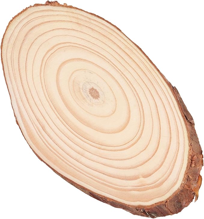 SINJEUN 15 Pack 8 Inch Unfinished Oval Wood Slices for Centerpieces, 4-4.7" Wood Circles with Bark for Rustic Wedding Decorations DIY Craft