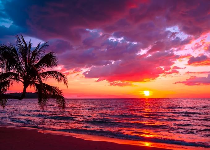 BELECO 20x10ft Fabric Sunset Beach Backdrop Tropical Seaside Coconut Palm Trees Background Backdrop Summer Beach Sunset Hawaii Luau Party Decorations Birthday Photoshoot Studio Photo Props