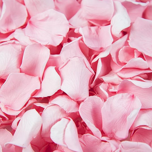 Eslibin 180 PCS Real Pink Dried Rose Petals Confetti for Wedding, 1.75oz Freeze Rose Petals for Romantic Pink Wedding Valentine's Day Proposal Decor, Dinner Centerpieces Party