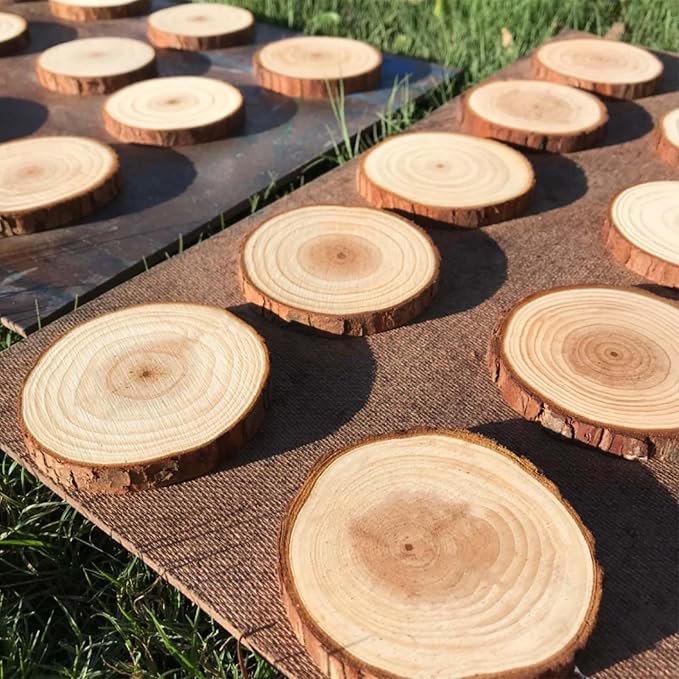 4 Inch Wood Slices Wooden Discs for Crafts, 12 Pcs 3.9-4.3 inches