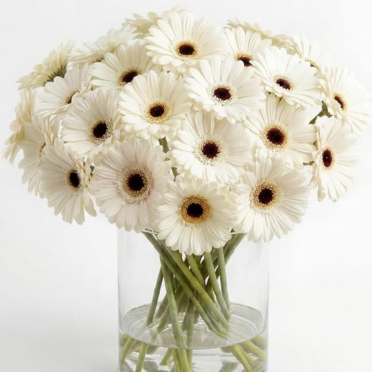 35 Pcs Artificial Gerbera Daisy Flowers with Bendable Stems 12 Inch PU Faux Gerbera Flowers Bouquet Fake Daisies for Wedding Home Party DIY Floral Arrangements(White)