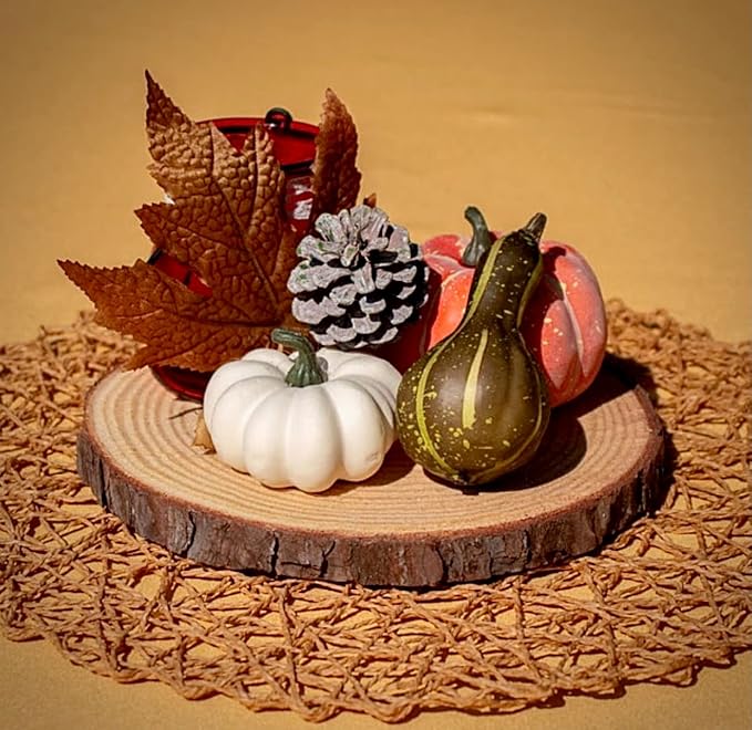 Set of (10) 8-9 inch Wood Slices for centerpieces, Arts and Crafts, and Rustic Home Decor! Wood Slice centerpieces, Wood Rounds, Tree Slices (Small 8-9 inch)