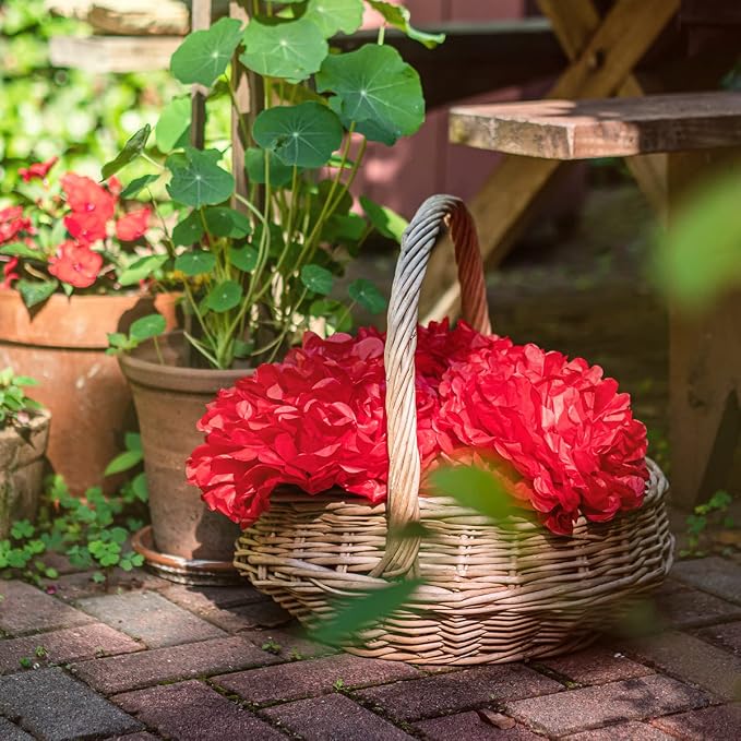 Red Tissue Paper Pom Poms - Red Party Decorations for Birthdays, Weddings, Baby Showers and Special Occasions by Avoseta (16 Piece Set, Assorted Sizes)