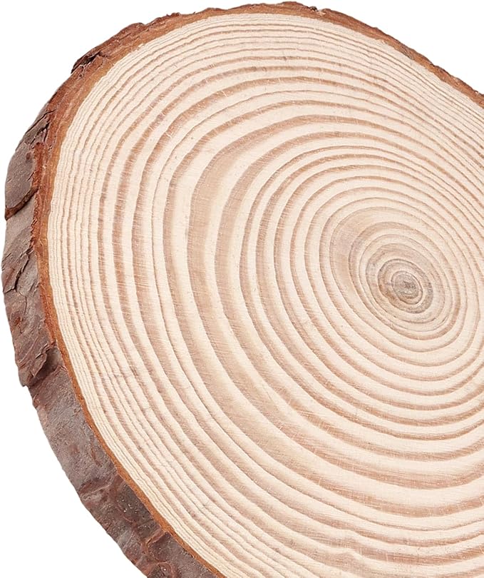 30 Pack 6-7 Inch Natural Wood Slices for Crafts, Unfinished Wood Slices with Bark 0.6 Inch Thick Wood Rounds Wooden Coasters for Crafts, Ornaments, Decorations