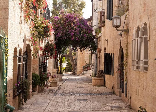 BELECO 8x6ft Fabric Jerusalem Town Street Backdrop Cobbled Street Ancient Village Old Stone Wall Houses Spring Flowers Historic City Israel Background for Party Decorations Photo Booth Studio Props