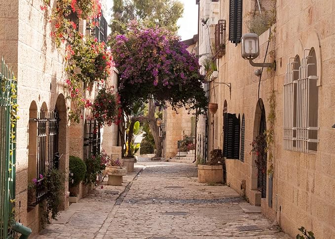BELECO 15x8ft Fabric Jerusalem Town Street Backdrop Cobbled Street Ancient Village Old Stone Wall Houses Spring Flowers Historic City Israel Background for Party Decorations Photo Booth Studio Props