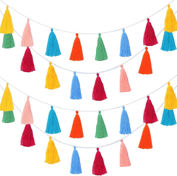 WILLBOND 4 Pcs Rainbow Tassel Garland Party Decorations, Colorful Boho Wall Hanging Banner for Classroom Decor, Back to School Birthday Wedding Baby Shower Nursery Home(Multicolor,6.3 Inch)