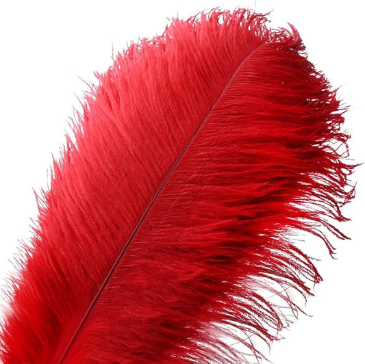 20pcs Natural Ostrich Feather Craft 10-12inch(25-30cm) Plume for Wedding Centerpieces Home Decoration DIY(Red, 20Pcs 10-12inch)