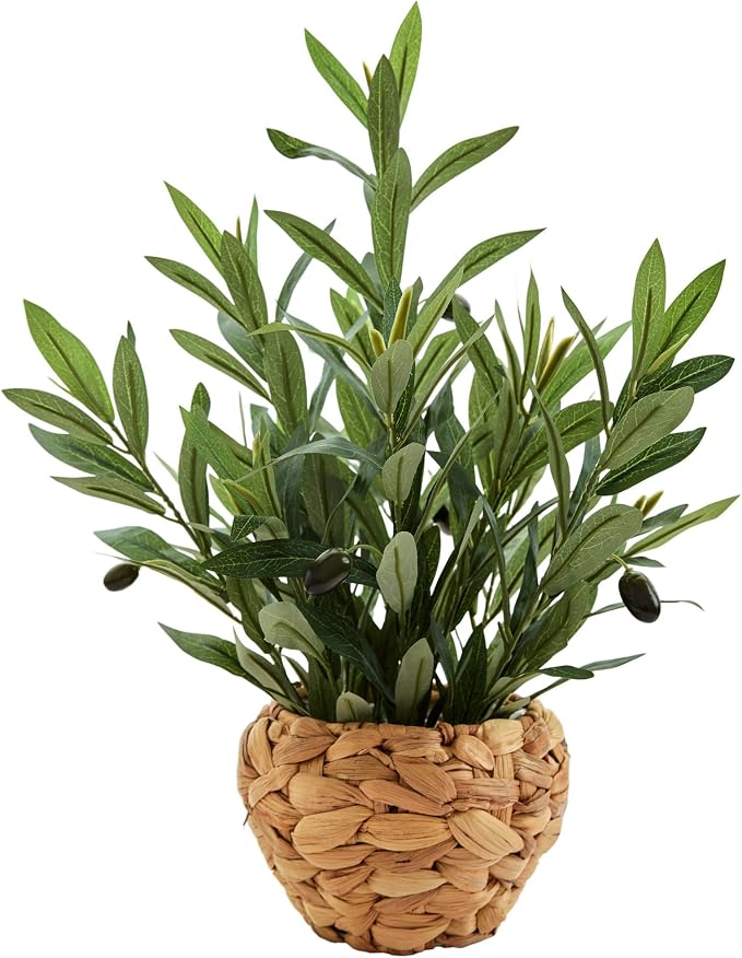 AlphaAcc 17.7" Artificial Olive Plant in Water Hyacinth Basket - Faux Olive Tree for Desk, Office & Mediterranean Decor