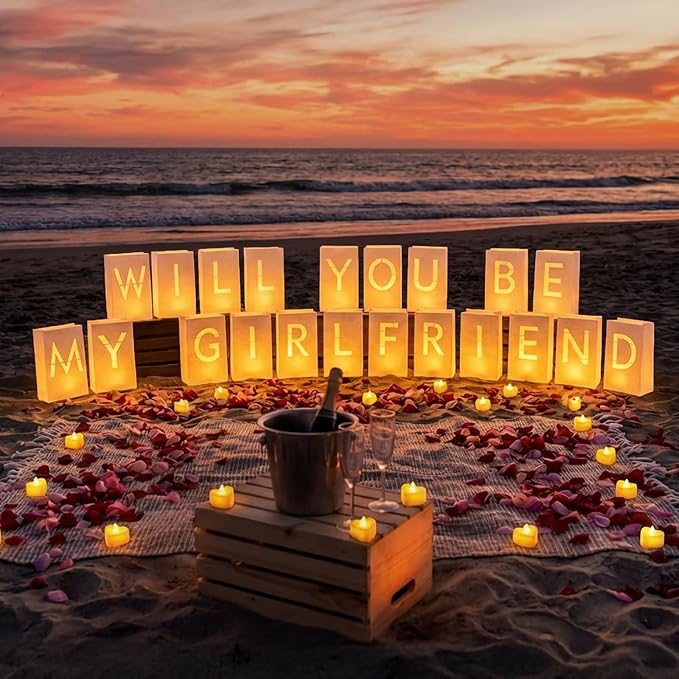 Will You Be My Girlfriend Light Up Letters Luminary Bags, Banner, Romantic Decoration Kit with 30PC Bright LED Candles and 2000PC Fake Rose Petals