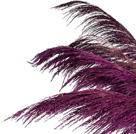 Pampas Grass Decor Tall,Long Pampas, Large Pompas Floral, Elegant Feather Flowers for Wedding Decorations, Living Room Decor (Natural Purple, 4pcs 43.3"(110cm))