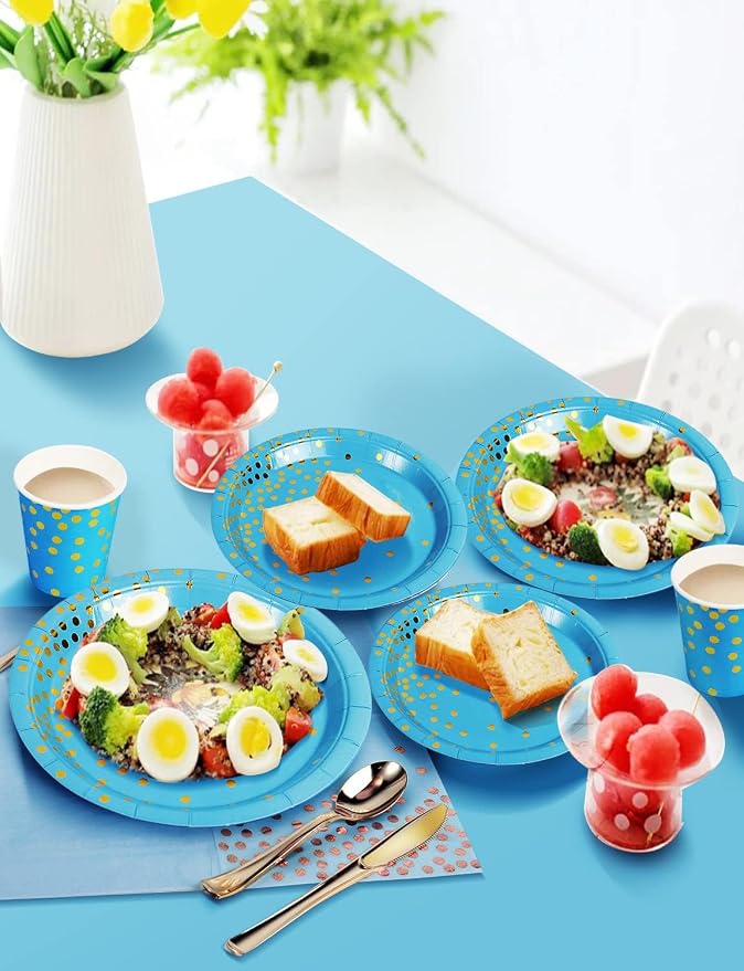 Nkaiso 141 Pieces Sky Blue Gold Party Supplies, Disposable Party Decorations Sets Include Paper Plates Napkins Cups, Plastic Forks Knives Spoons, for Baby Shower Birthday Wedding -20 Guests