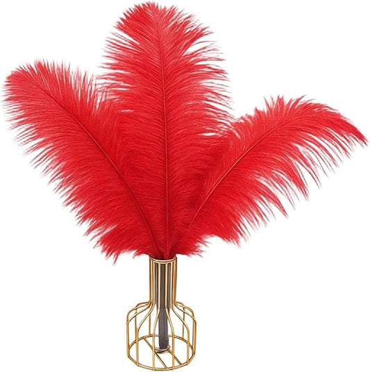 25pcs Natural Ostrich Feather Craft 8-10inch(20-25m) Plume for Wedding Centerpieces Home Decoration DIY(Red, 25Pcs 8-10inch)