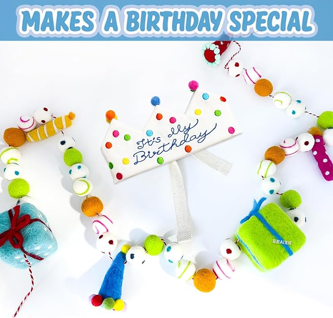 Personalized Hand Embroidered Birthday Hats Unique Happy Birthday Crowns Cute Party Hat for Boy Girl Fit All Ages