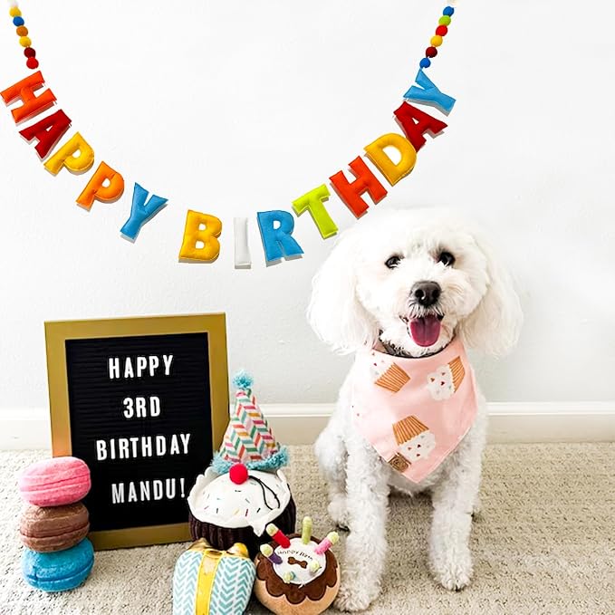Pre-Strung Happy Birthday Banner - Felt Ball Garland, Rainbow Party Decorations, HAPPY BIRTHDAY Garland, Personalized Birthday Sign for Birthday Decor, Party Decor, Photo Prop (Rainbow-Colored Happy Birthday Banner)