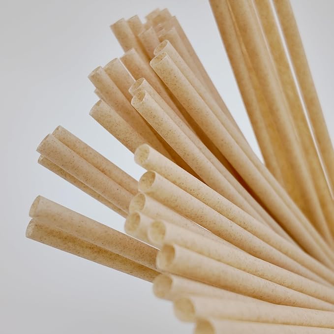 200PCS Disposable Bagasse Straws,8.27'' Straight Flat Straw,0.22'' Diameter,Eco-friendly Sugarcane Drinking Biodegradable Straw for Party,Juice,Cocktail,Kitchen,Club,Drinks, Milk, Soda (200)