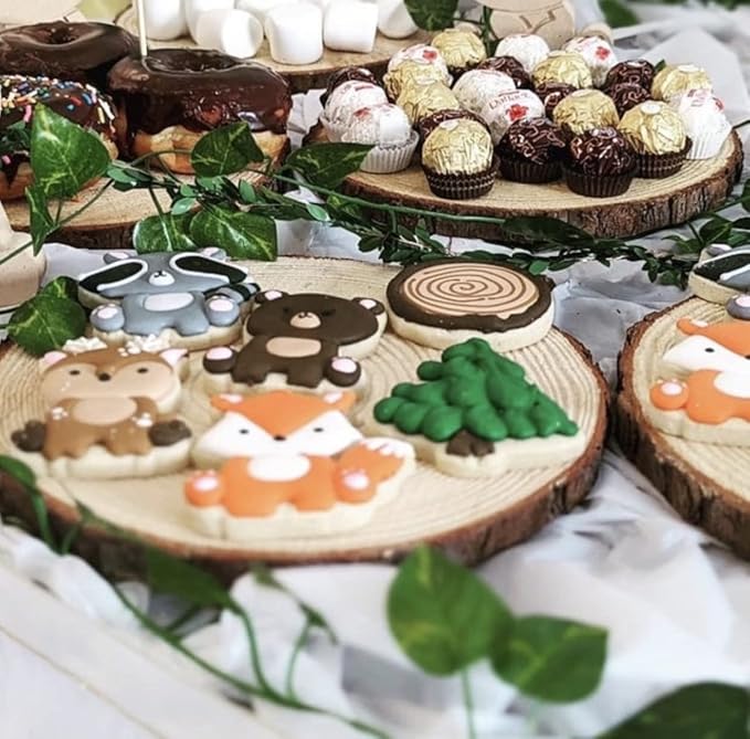 Set of (10) Medium 9-11" Wood Slices for Centerpieces! Wedding and Baby Shower centerpieces (Set of 10 Medium (9-11"))