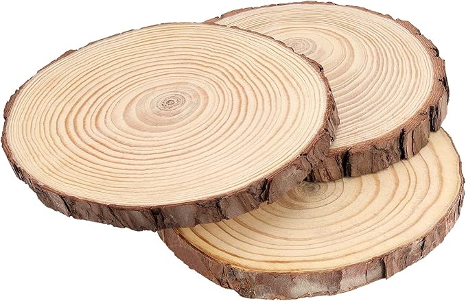 JEUIHAU 6 PCS 7-8 Inches Natural Unfinished Wood Slices, Round Wooden Tree Bark Discs, Wooden Circles for DIY Crafts, Christmas, Rustic Wedding Ornaments