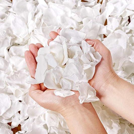 500+Pcs Dried Real White Rose Petals, Freeze Preserved Flower Petals 4.59oz for Valentine's Day Gifts Wedding Party Decor, Flower Girl, Dinner table Centerpieces, Bridal Shower, Flower Confetti 130g