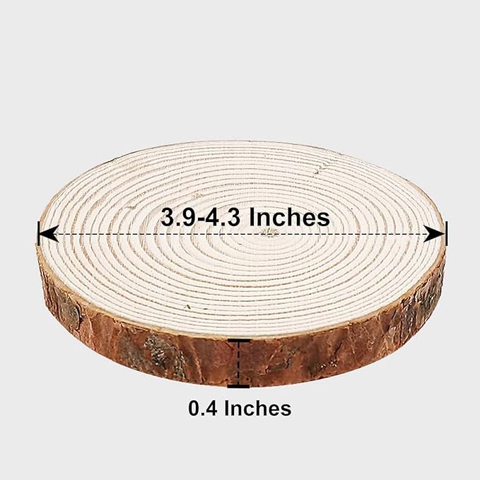 4 Inch Wood Slices Wooden Discs for Crafts, 12 Pcs 3.9-4.3 inches