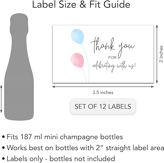 Thank You for Celebrating with us Mini Champagne Labels ● Set of 12 ● Mini Wine Bottle Labels, Gender Reveal, Pink or Blue, Girl or Boy Baby Shower, Sprinkle, Birthday Favors Stickers M205-THANK-12