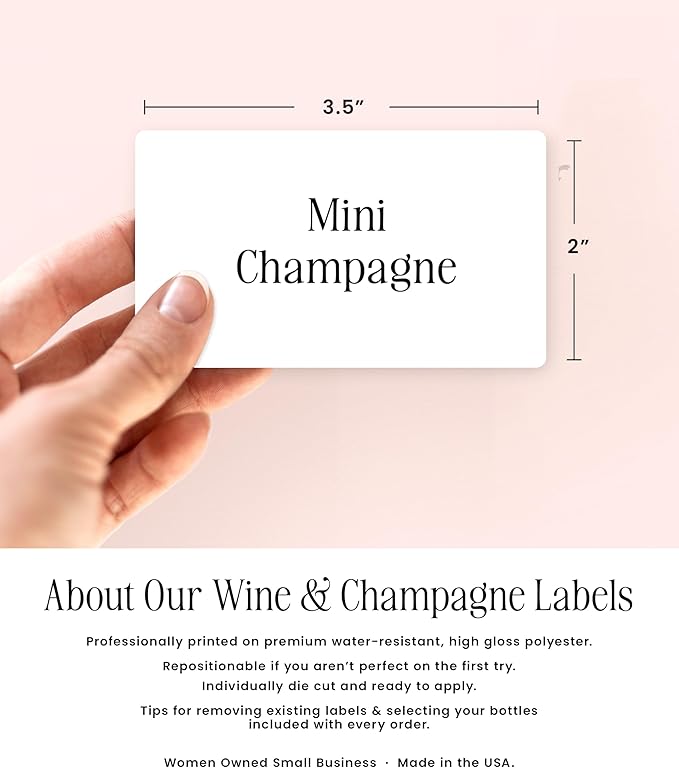 Bridesmaid Era Mini Champagne Labels, Set of 10, Bridesmaid Proposal Labels, Will You be My Maid of Honor or Bridesmaid Gift, Bridesmaid Box Idea