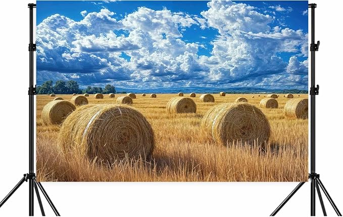 8 x 6 ft Autumn Harvest Field Backdrop Fall Farm Blue Sky White Clouds Field Haystack Country Photography Background Western Newborn Children Birthday Background Banner Photo Studio Props