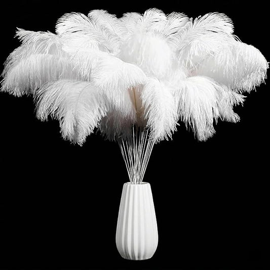 Lamar 20Pcs 12-14'' White Ostrich Feathers for Wedding Centerpieces, Crafts, Carnival, Gifts, Party Decor, Floral Arrangement, Bohemian Home Decor (White)
