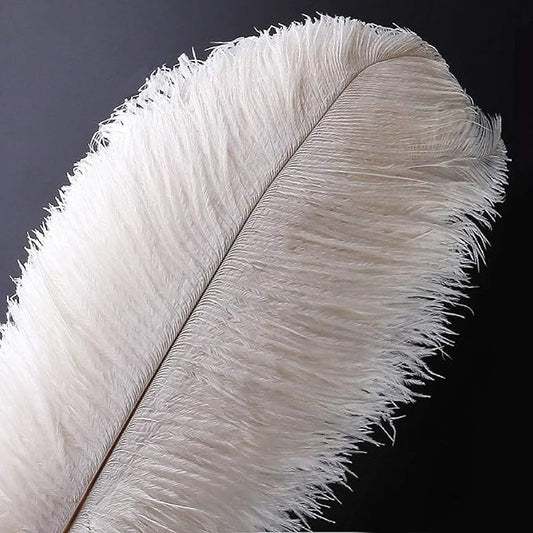 25pcs Natural Ostrich Feather Craft 8-10inch(20-25m) Plume for Wedding Centerpieces Home Decoration DIY(White, 25Pcs 8-10inch)