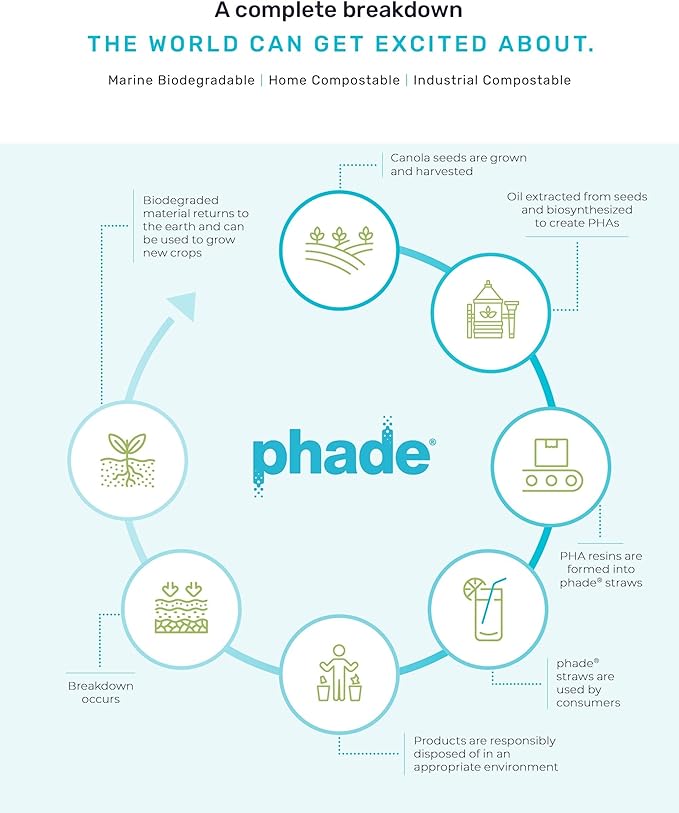 phade Eco-Friendly Sustainable Marine Biodegradable, Compostable 7.75" Jumbo Straws, Un-wrapped, 1 Box - 50 Count