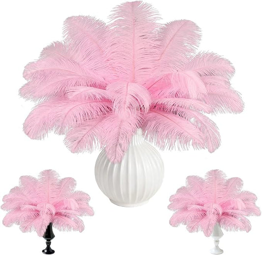 Natural Pink Ostrich Feathers Bulk 60 Pack, 12-14 in, 10-12 in, 8-10 in (20 Pcs Each), for DIY Vase Craft Wedding Party Centerpieces Christmas Decoration